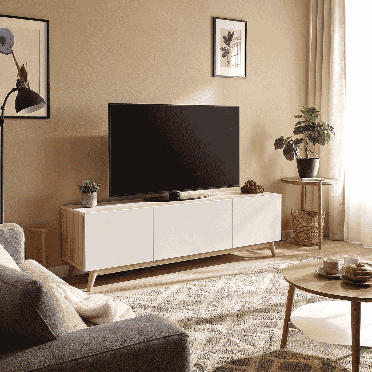 TV Stand Ideas